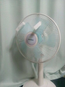 せんぶうき10986565_1628648417422225_4298263013152634803_n